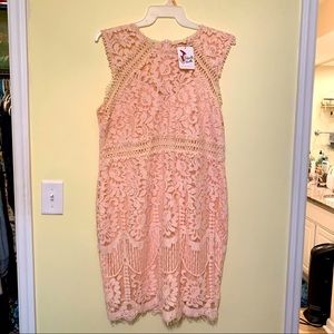 Main Strip brand Peach Lace Sheath Dress 3XL